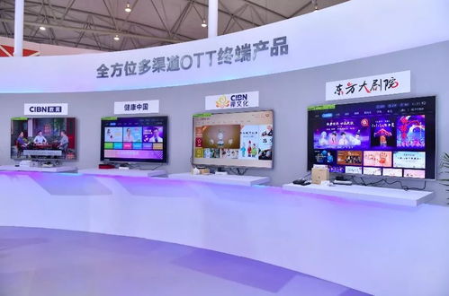 小c跑会 技术 内容 服务 硬件 ......cibn互联网电视带网络视界来成都